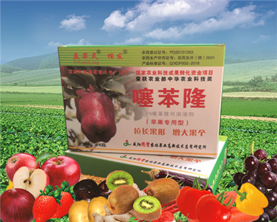 奎屯苹果噻苯隆